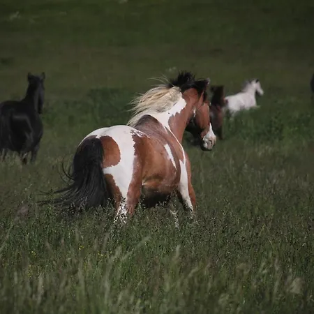 De Bien-être De La Symphonie Du Vivant Bonnes (Vienne)