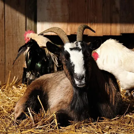 Casa de Férias De Bien-être De La Symphonie Du Vivant *