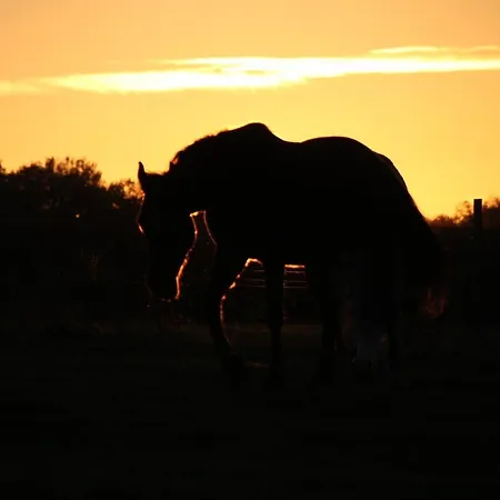 De Bien-être De La Symphonie Du Vivant *