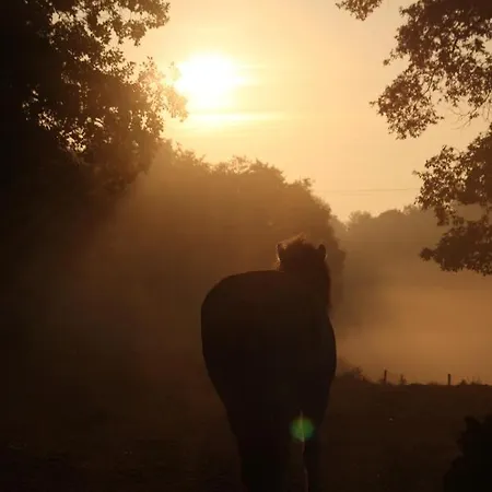 Сasa de vacaciones De Bien-etre De La Symphonie Du Vivant Bonnes (Vienne)