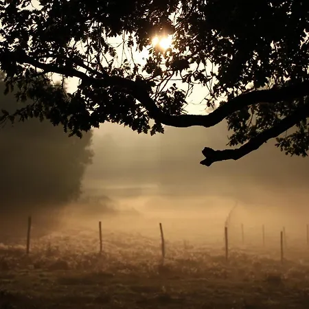 De Bien-être De La Symphonie Du Vivant * Bonnes (Vienne)