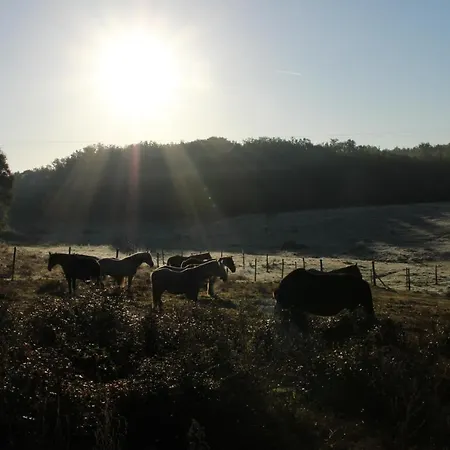 De Bien-etre De La Symphonie Du Vivant