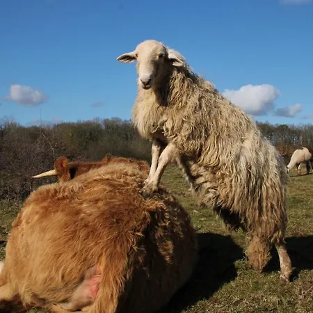 Сasa de vacaciones De Bien-etre De La Symphonie Du Vivant Bonnes (Vienne)