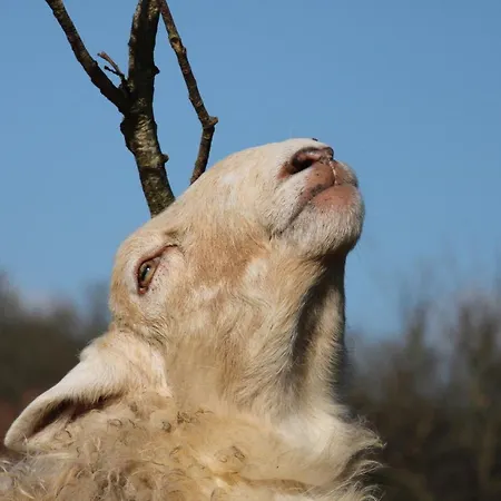 Сasa de vacaciones De Bien-etre De La Symphonie Du Vivant Bonnes (Vienne)